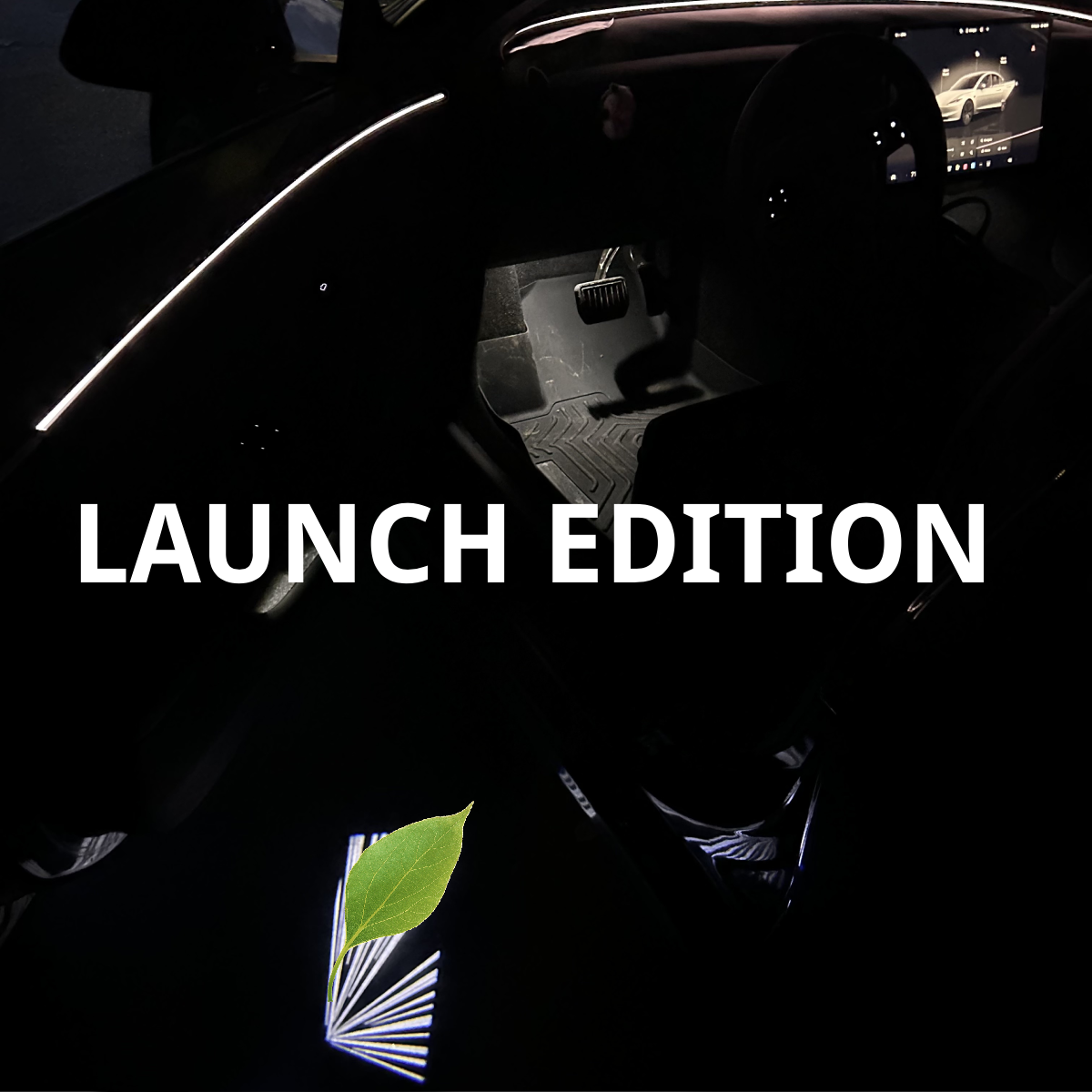 Plaid/ Launch Edition Projection Door Puddle Light LR Pair