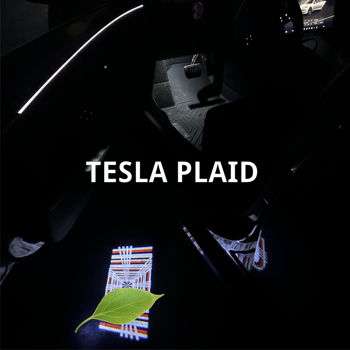 Plaid/ Launch Edition Projection Door Puddle Light LR Pair